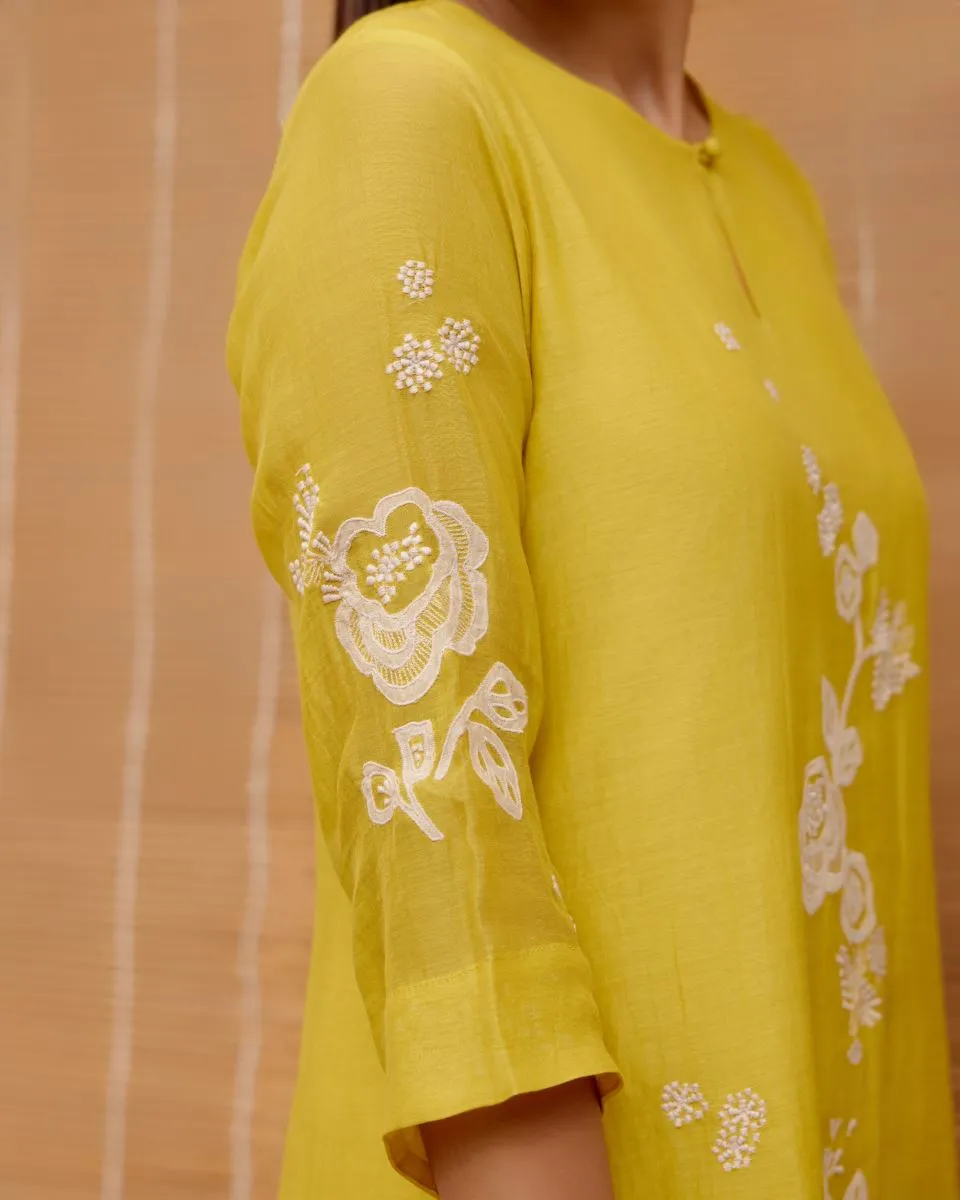 Citrine floral applique kurta set