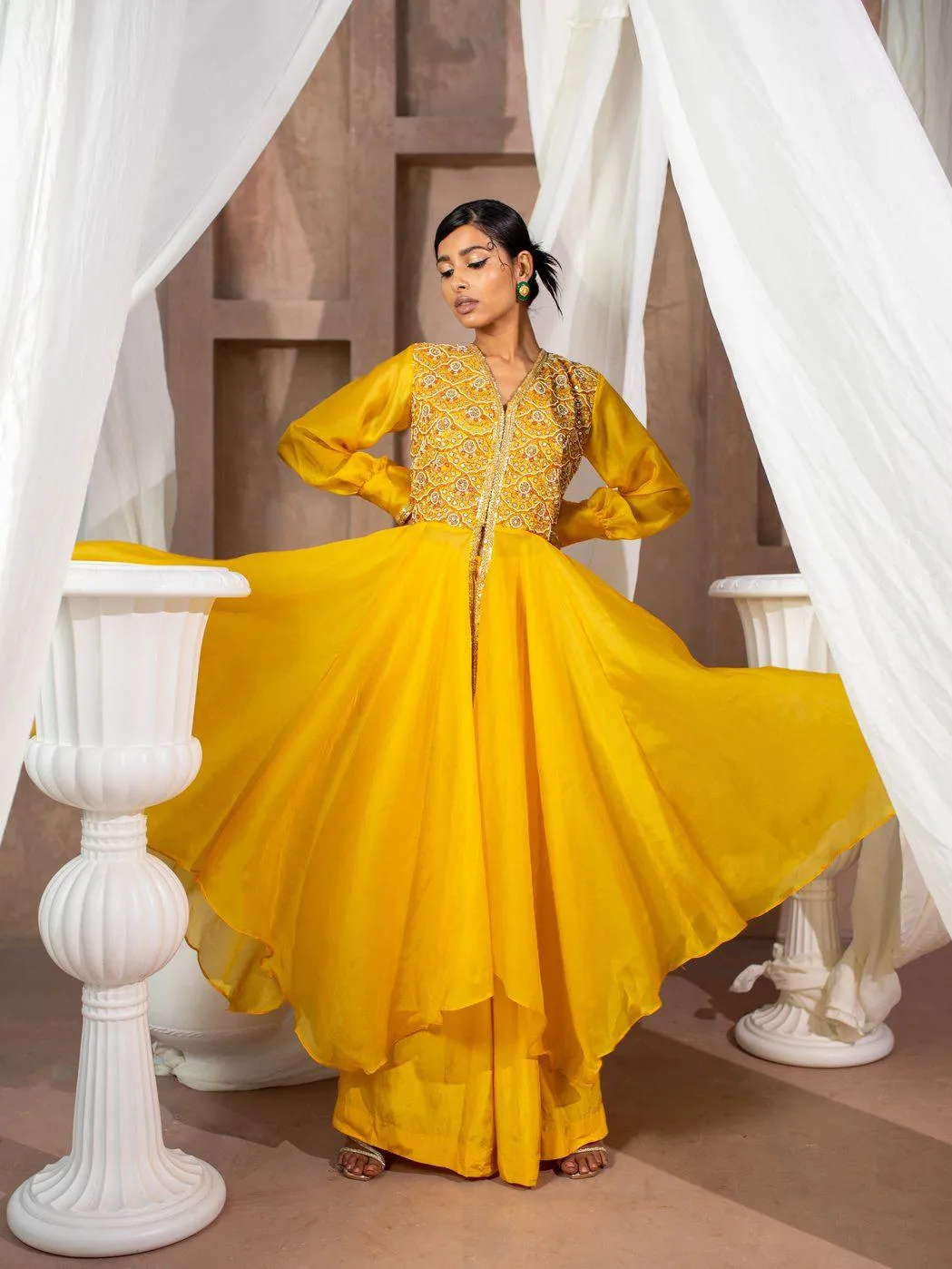 Embroidered Organza Flare Anarkali