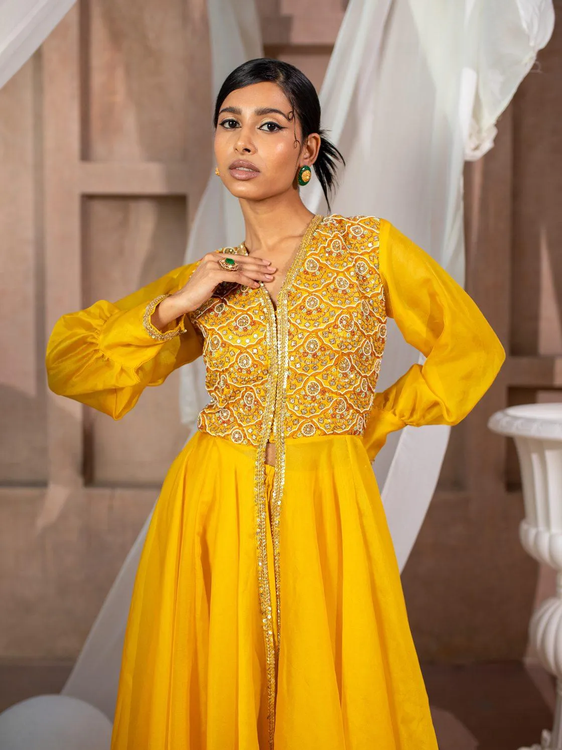 Embroidered Organza Flare Anarkali