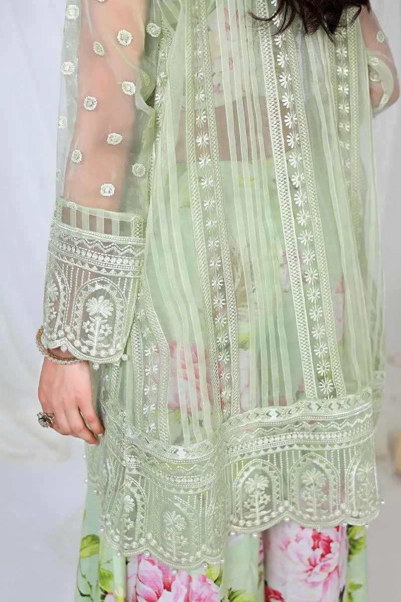 Reema Ahsan - NURAY - Organza  - Lime green  - 4 Piece