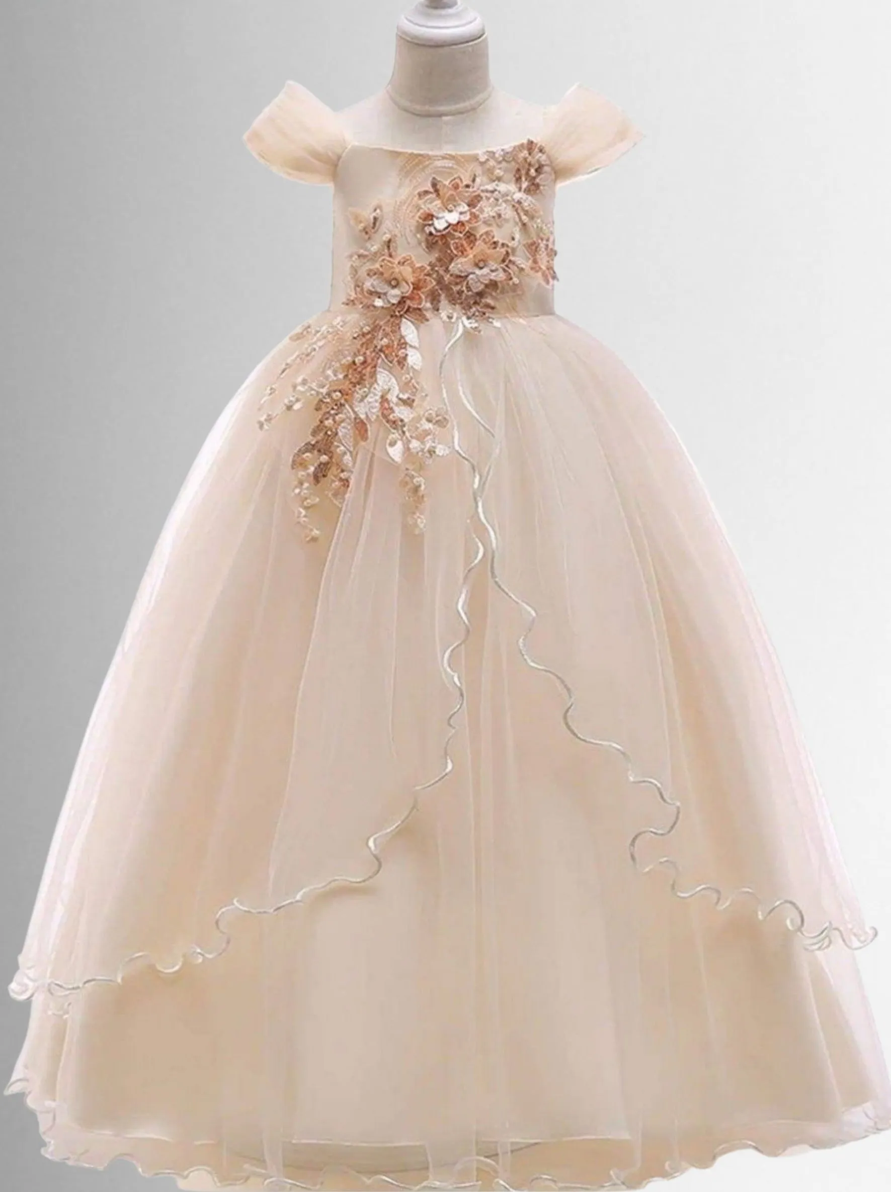 Regal Beauty Embellished Princess Special Occasion Dress