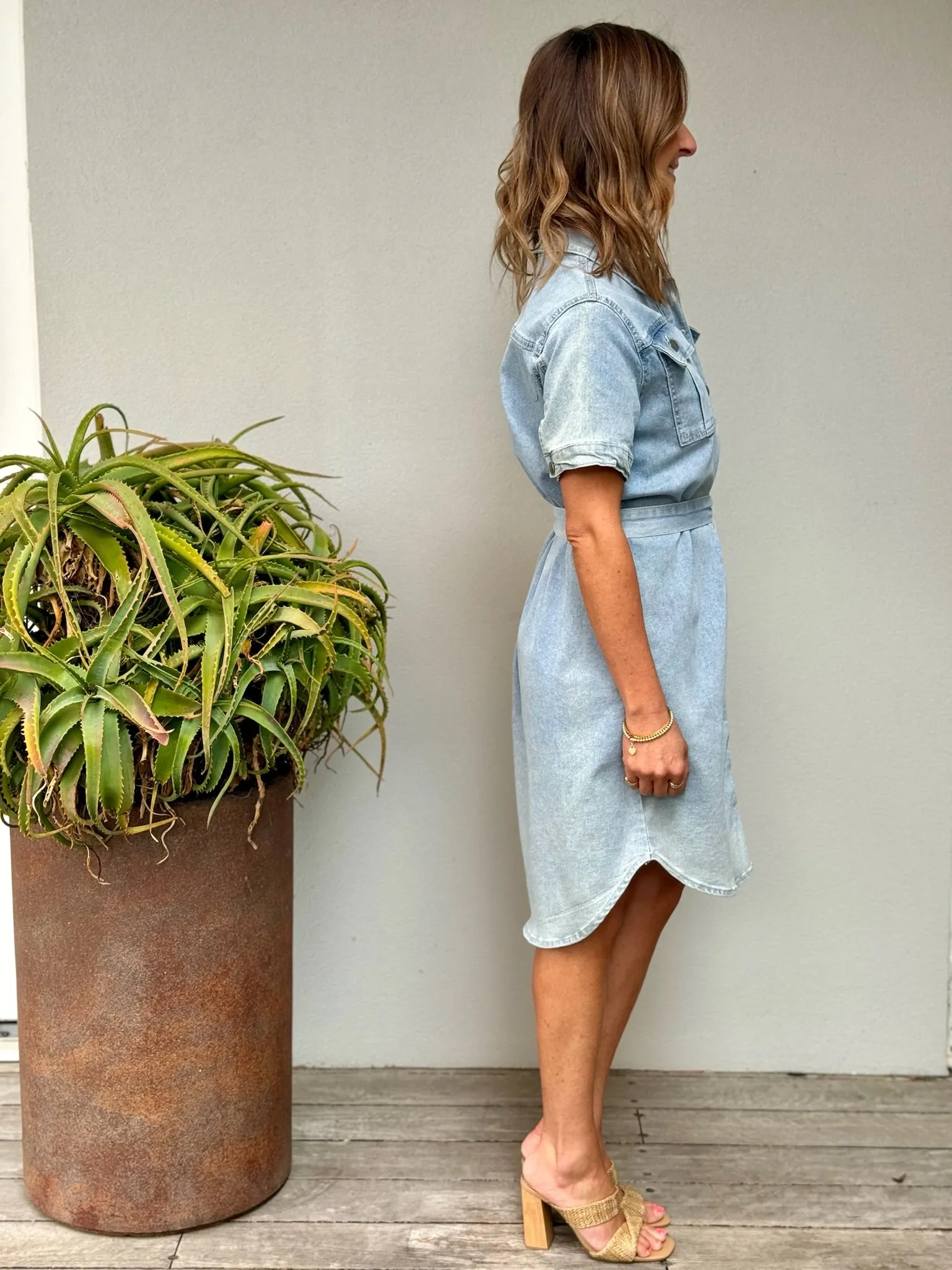 Sadie Denim Dress