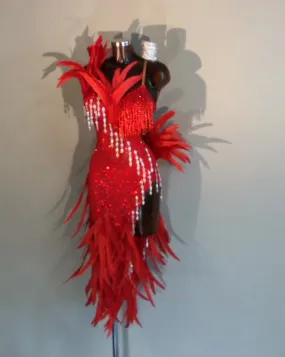 Sexy, Red Feather Rhythm Or Latin Ballroom Dance Dress